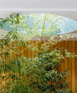 Skylight at Bellropes, a renovation designed by Hawkes Architecture.