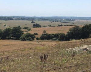 AONB site for a potential Para 80, energy efficient passive house. Another grand design by Hawkes Architecture.