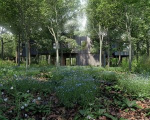 Garden view of Tree House, a Para 80 energy efficient passive house. Another grand design by Hawkes Architecture.