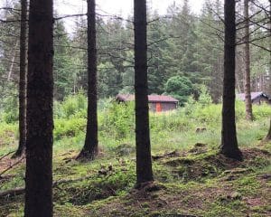 Site visit in Northumberland for a potential Para 80, energy efficient passive house. Another grand design by Hawkes Architecture.